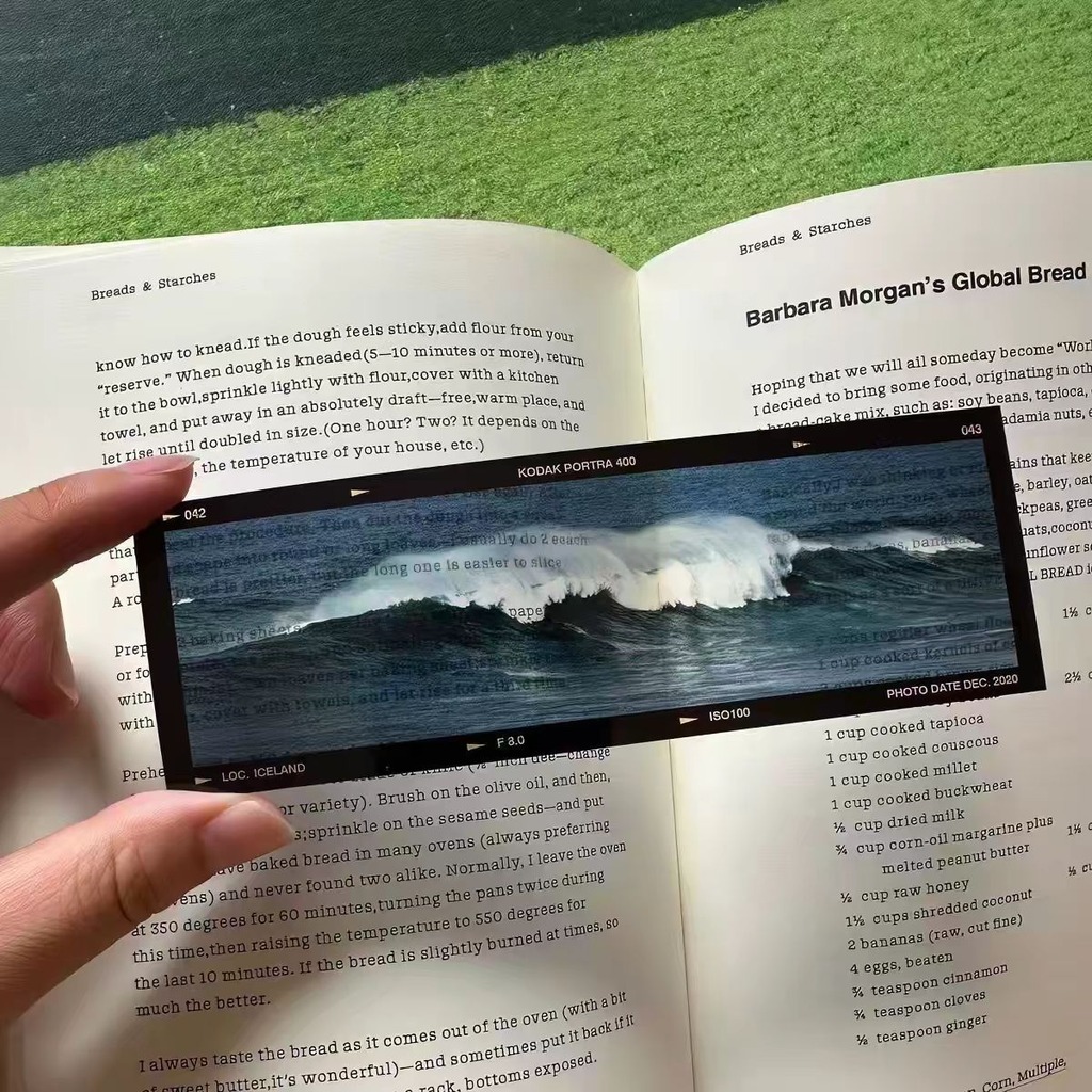 Sea'S Memoirs Ocean Theme Film - Dried Flower Bookmark ulasan dan harga